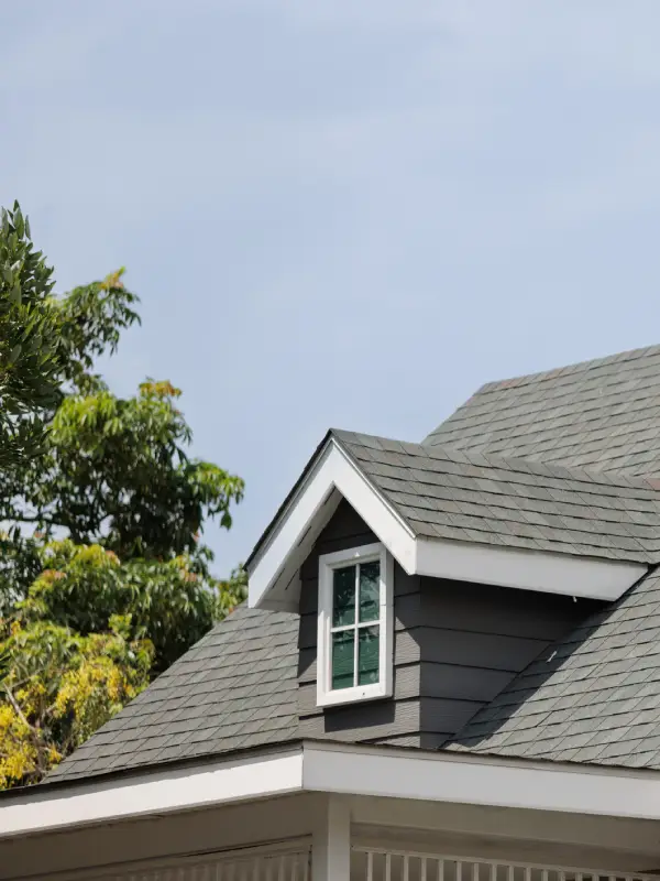 Professional Roofing Company Professional Roofing Company